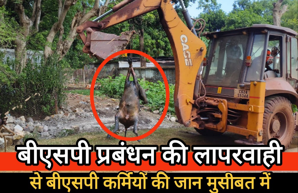 बीएसपी प्रबंधन की सुस्ती और लापरवाही से बीएसपी कर्मियों की जान मुसीबत में