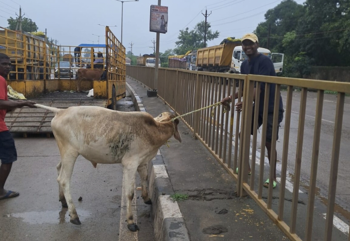 रायगढ़ : कांग्रेस के प्रदर्शन की घोषणा और कुम्भकरणीय निद्रा से निगम प्रशासन का जागना ; अद्भुत संयोग…