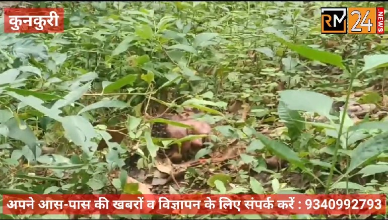 कुनकुरी : श्रीनदी के किनारे मिली सरकटी लाश, इलाके में दहसत ; अभी तक नहीं हो पायी मृतक की शिनाख्त…