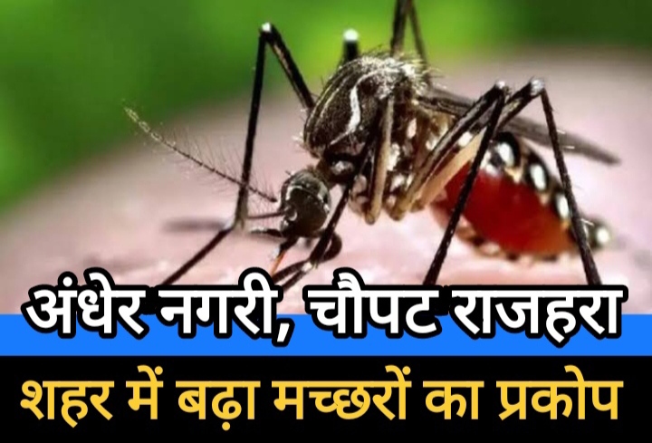 अंधेर नगरी चौपट राजहरा : शहर में बढ़ा मच्छरों का प्रकोप
