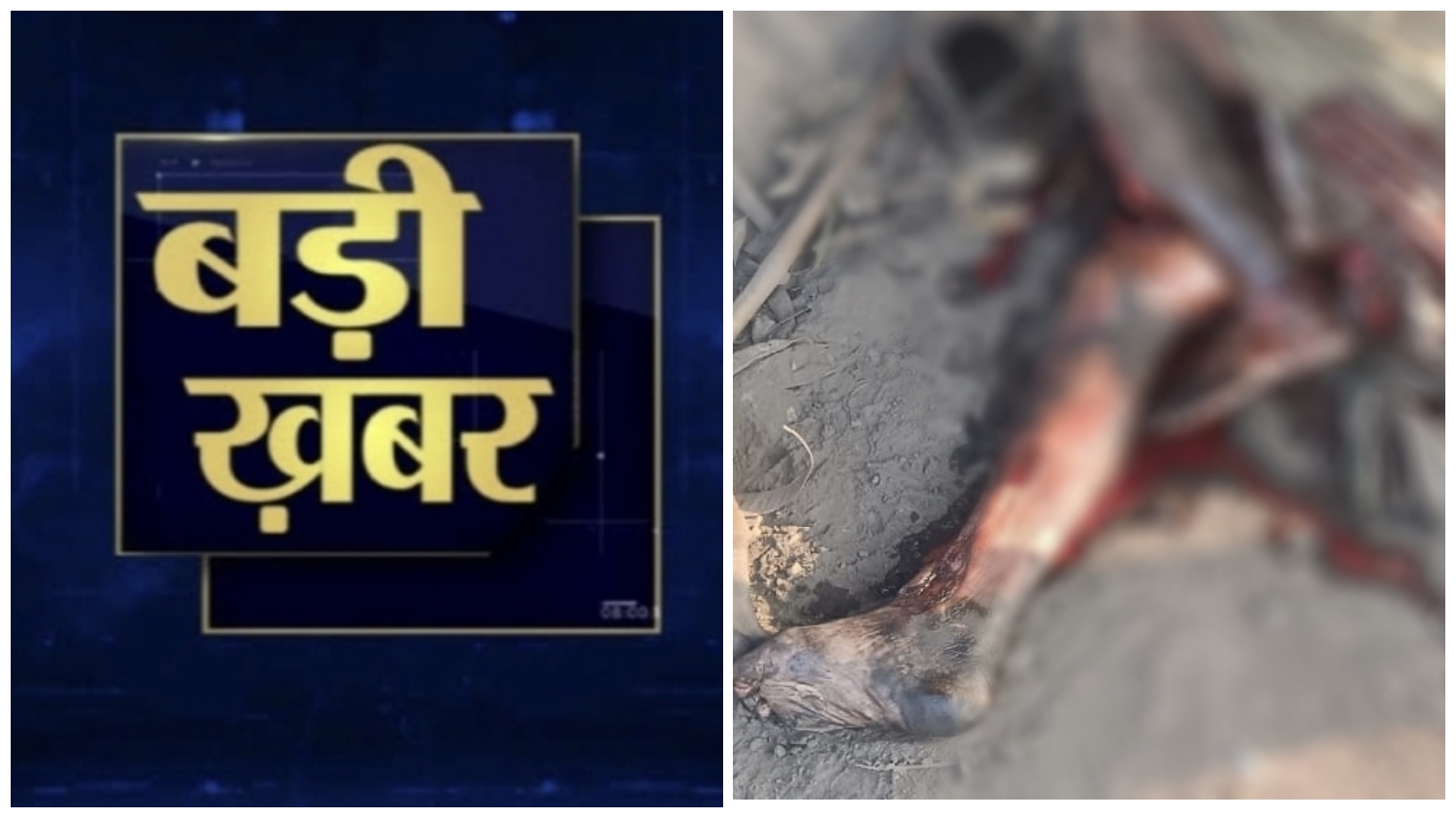 ब्रेकिंग तमनार : हुंकराडिपा चौक के पास फिर हुआ सड़क हादसा! पेड़ के नीचे बैठे अधेड़ को अज्ञात वाहन ने लिया चपेट में; आक्रोशित ग्रामीणों ने किया चक्का जाम…