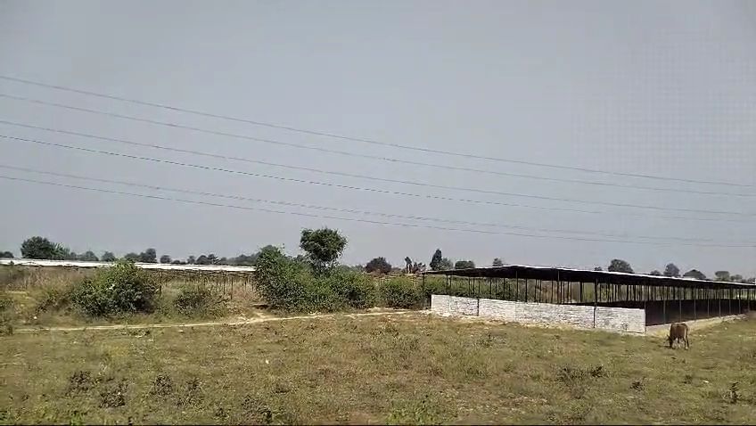 पढ़िए कैसे थोड़ा निवेश कर, ज्यादा मुनाफा कमाने का आसान तरीका अपना रहे लोग…