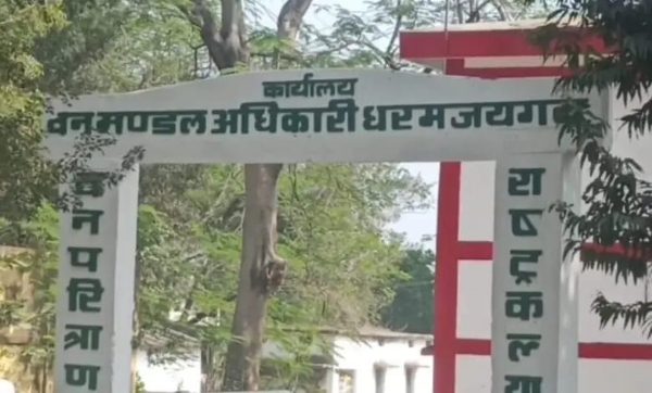 धरमजयगढ़ वनमंडल में 54 लाख की चारागाह विकास योजना पर बड़ा घोटाला, फर्जी बिलों से हड़पी गई सरकारी राशि, ग्रामीणों में आक्रोश…