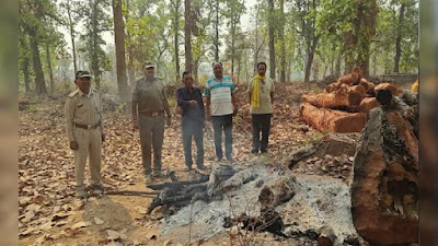 गरियाबंद के जंगल में अधजले शव के टुकड़े मिलने से सनसनी! खौफनाक कत्ल की गुत्थी जल्द सुलझेगी?… गरियाबंद के जंगल में अधजले शव के टुकड़े मिलने से सनसनी! खौफनाक कत्ल की गुत्थी जल्द सुलझेगी?…