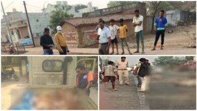 बिलासपुर में मौत का तांडव : तेज रफ्तार का कहर, 8 मवेशियों की दर्दनाक मौत…