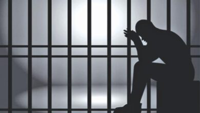 सीमांकन विवाद में पत्थर से कुचलकर हत्या- दो आरोपियों को आजीवन कारावास…