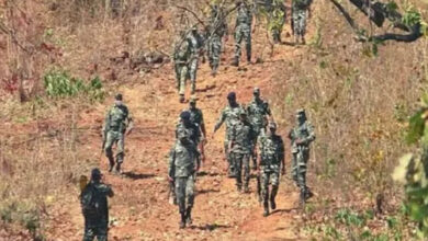 छत्तीसगढ़ में सुरक्षा बलों का महा-प्रहार ! बीजापुर-कांकेर में 30 नक्सली ढेर, ऑपरेशन में 600 जवानों की गूंज…