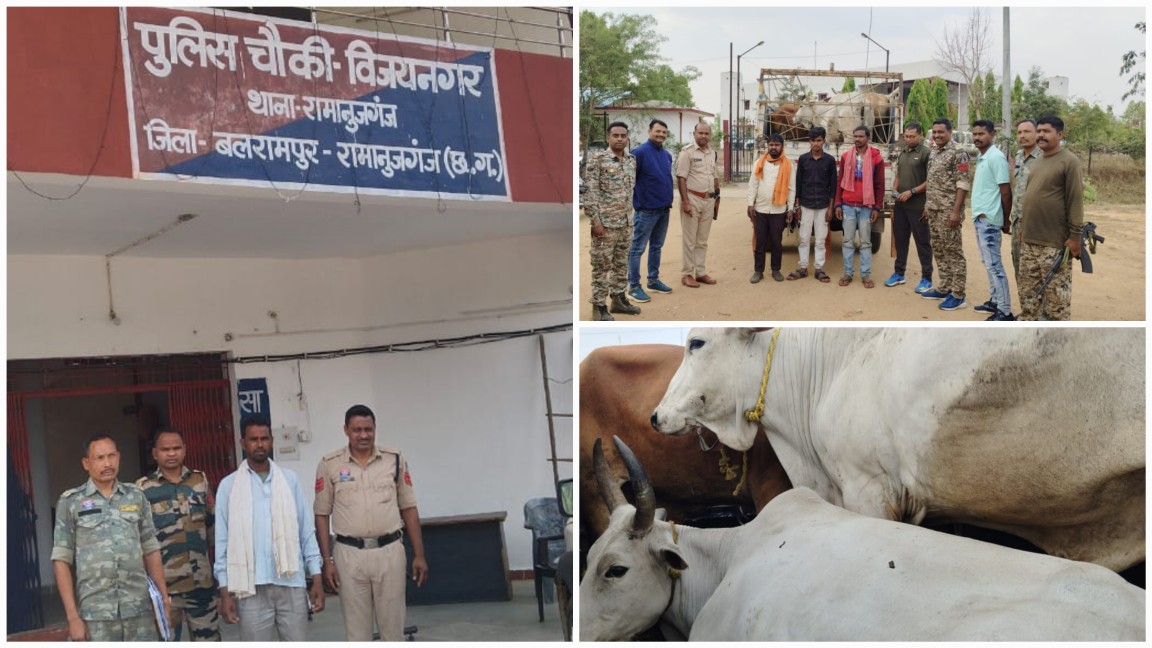 “गौ-तस्करों पर फूटा बलरामपुर पुलिस का कहर : 48 घंटे में धड़ाधड़ तीन कार्रवाई!”… “गौ-तस्करों पर फूटा बलरामपुर पुलिस का कहर : 48 घंटे में धड़ाधड़ तीन कार्रवाई!”…