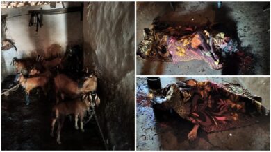 अंबिकापुर : बकरियों की लालच में ग्रामीण की निर्मम हत्या, चार बकरियां चोरी कर फरार हुए हत्यारे…