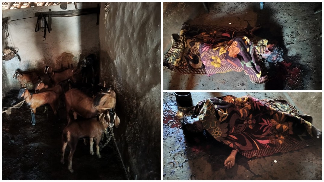 अंबिकापुर : बकरियों की लालच में ग्रामीण की निर्मम हत्या, चार बकरियां चोरी कर फरार हुए हत्यारे…