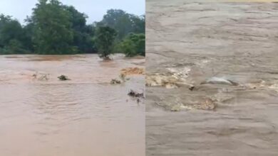 मैनी नदी बनी मौत का दरिया : पुटू बीनने गईं मां-बेटी समेत चार बहे, एक का शव मिला – बाकियों की तलाश जारी, मातम में डूबा सरगुजा…