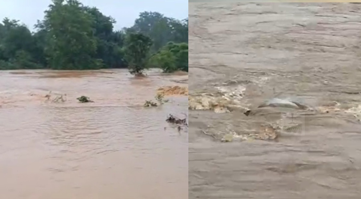 मैनी नदी बनी मौत का दरिया : पुटू बीनने गईं मां-बेटी समेत चार बहे, एक का शव मिला – बाकियों की तलाश जारी, मातम में डूबा सरगुजा…