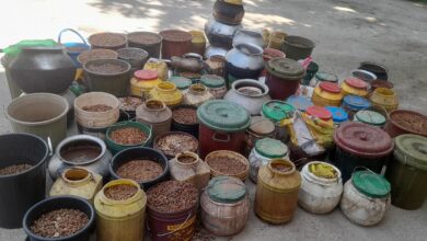 ऑपरेशन ‘आघात’ बना शराब माफियाओं के लिए कहर, SSP शशि मोहन सिंह के नेतृत्व में जशपुर पुलिस की बड़ी कार्रवाई…