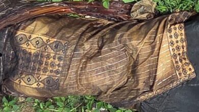 बेमेतरा में झकझोर देने वाली वारदात  : सड़ी-गली हालत में युवती की लाश बरामद, इलाके में सनसनी, हत्या की आशंका गहराई…