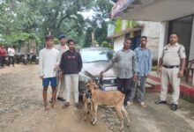 जशपुर पुलिस की फिल्मी स्टाइल में कार्रवाई, बकरी चोर गिरोह का पर्दाफाश, चार आरोपी गिरफ्तार…