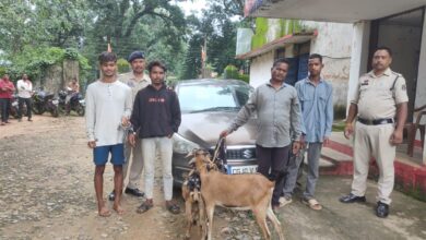 जशपुर पुलिस की फिल्मी स्टाइल में कार्रवाई, बकरी चोर गिरोह का पर्दाफाश, चार आरोपी गिरफ्तार…