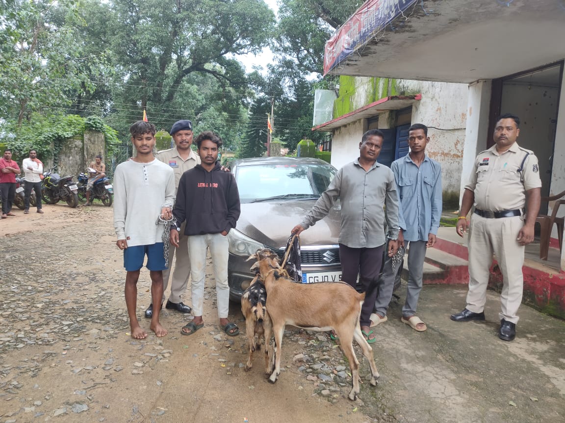 जशपुर पुलिस की फिल्मी स्टाइल में कार्रवाई, बकरी चोर गिरोह का पर्दाफाश, चार आरोपी गिरफ्तार…