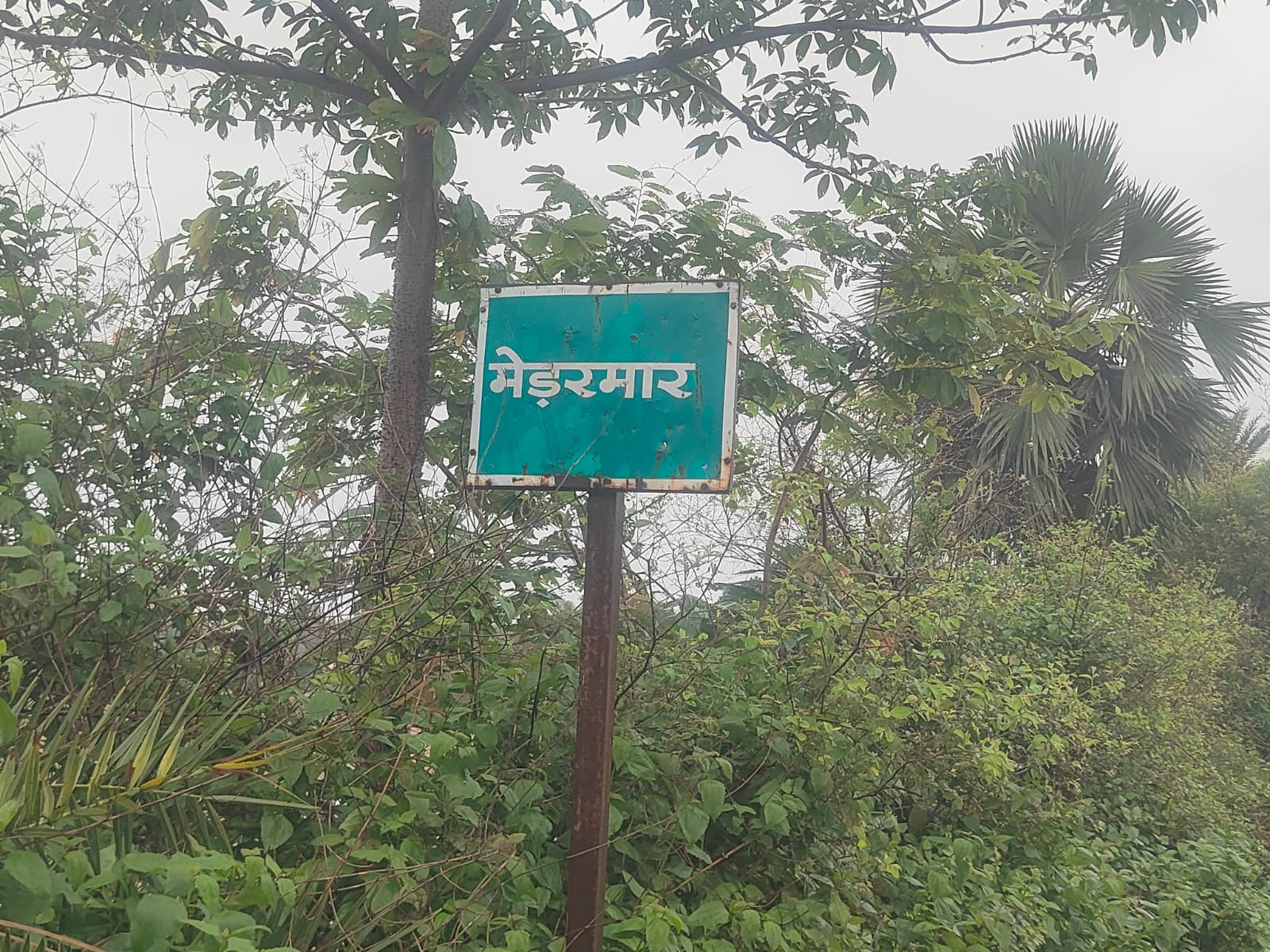 “मेडरमार में जल जीवन मिशन की टंकी नहीं, भ्रष्टाचार की मीनार खड़ी हो गई…!” “मेडरमार में जल जीवन मिशन की टंकी नहीं, भ्रष्टाचार की मीनार खड़ी हो गई…!”