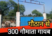 डौंडी गौठान से 300 गौमाता गायब : तस्करी का आरोप जनप्रतिनिधि पर, नगर पंचायत की चुप्पी पर उठे सवाल