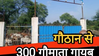डौंडी गौठान से 300 गौमाता गायब : तस्करी का आरोप जनप्रतिनिधि पर, नगर पंचायत की चुप्पी पर उठे सवाल