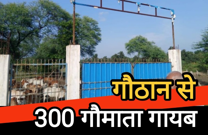 डौंडी गौठान से 300 गौमाता गायब : तस्करी का आरोप जनप्रतिनिधि पर, नगर पंचायत की चुप्पी पर उठे सवाल डौंडी गौठान से 300 गौमाता गायब : तस्करी का आरोप जनप्रतिनिधि पर, नगर पंचायत की चुप्पी पर उठे सवाल