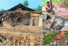 रायगढ़ में हाथियों का तांडव : एक ही रात में तीन ग्रामीणों की दर्दनाक मौत, दहशत में लैलूंगा क्षेत्र…