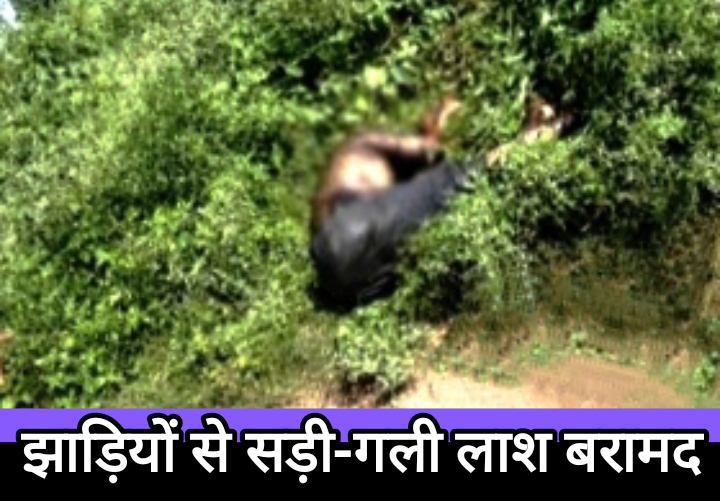 नारागांव में झाड़ियों से सड़ा-गला शव बरामद, हत्या की आशंका जताई जा रही… नारागांव में झाड़ियों से सड़ा-गला शव बरामद, हत्या की आशंका जताई जा रही…