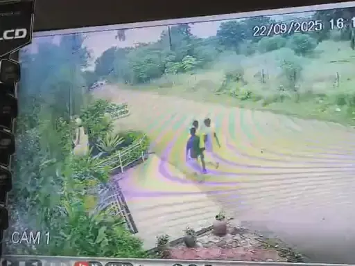 पुलिसवालों के बच्चों की करतूत से हड़कंप : कांग्रेस नेत्री के घर से CCTV और 10 LED लाइट चोरी, फुटेज में कैद हुई शर्मनाक हरकत पुलिसवालों के बच्चों की करतूत से हड़कंप : कांग्रेस नेत्री के घर से CCTV और 10 LED लाइट चोरी, फुटेज में कैद हुई शर्मनाक हरकत