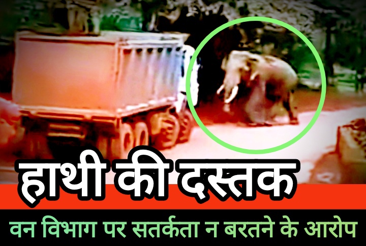 महामाया माइंस सड़क पर दंतैल हाथी की अचानक दस्तक, लगातार निगरानी में चूक रहा वन विभाग महामाया माइंस सड़क पर दंतैल हाथी की अचानक दस्तक, लगातार निगरानी में चूक रहा वन विभाग