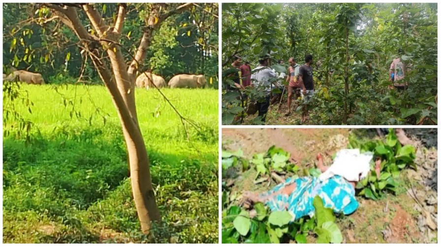 जंगल में मौत का साया : जशपुर में मशरूम बीनने गई महिलाओं पर हाथी का हमला, एक की मौत – दो घायल… जंगल में मौत का साया : जशपुर में मशरूम बीनने गई महिलाओं पर हाथी का हमला, एक की मौत – दो घायल…