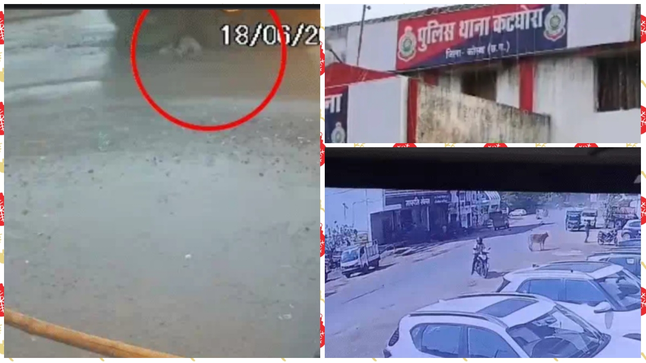 कोरबा में रफ्तार का कहर: कार-बाइक भिड़ंत में युवक 5 फीट उछला, सिम्स रेफर – महिला और बच्चा भी घायल