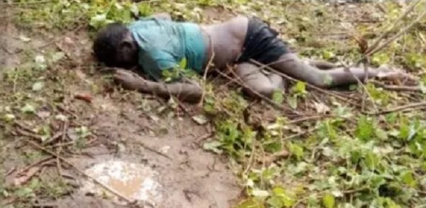 कोरबा का तनेरा दहला : खेत से लौटते ग्रामीण को लोनर हाथी ने रौंदा, मौत के बाद गांव में दहशत…