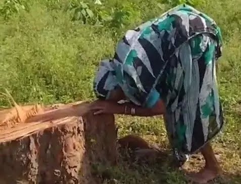 “20 साल की ममता पर चली आरी” – बुजुर्ग मां की तरह पेड़ से लिपटकर रोती रही महिला, जमीन कारोबारी इमरान मेमन गिरफ्तार – खैरागढ़ में फूट पड़ा जनाक्रोश… “20 साल की ममता पर चली आरी” – बुजुर्ग मां की तरह पेड़ से लिपटकर रोती रही महिला, जमीन कारोबारी इमरान मेमन गिरफ्तार – खैरागढ़ में फूट पड़ा जनाक्रोश…