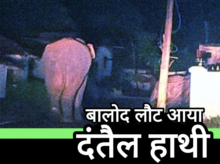 दंतैल हाथी बालोद लौटा, गुरुर वन परिक्षेत्र के 30 गांवों में अलर्ट जारी दंतैल हाथी बालोद लौटा, गुरुर वन परिक्षेत्र के 30 गांवों में अलर्ट जारी