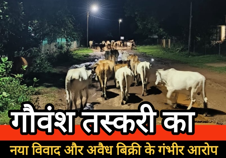 डौंडी में गौवंश तस्करी का नया विवाद : किसान संघ पर अवैध बिक्री के गंभीर आरोप, मौर्य मंडल ने थाने में शिकायत दर्ज की डौंडी में गौवंश तस्करी का नया विवाद : किसान संघ पर अवैध बिक्री के गंभीर आरोप, मौर्य मंडल ने थाने में शिकायत दर्ज की