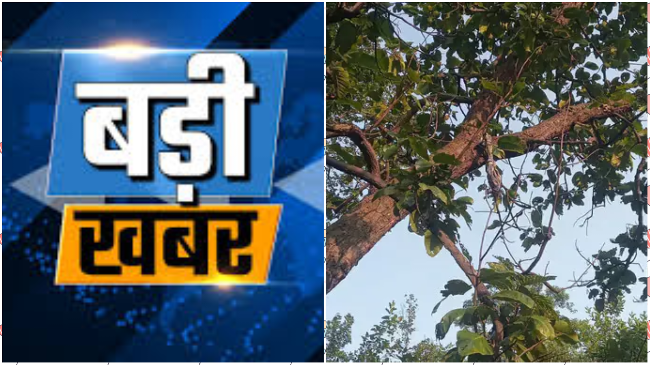 सोलवा गांव में सनसनी – एक महीने से लापता सुखसागर का मिला कंकाल, पेड़ पर बंधा मिला गमछा… आत्महत्या या रहस्य?