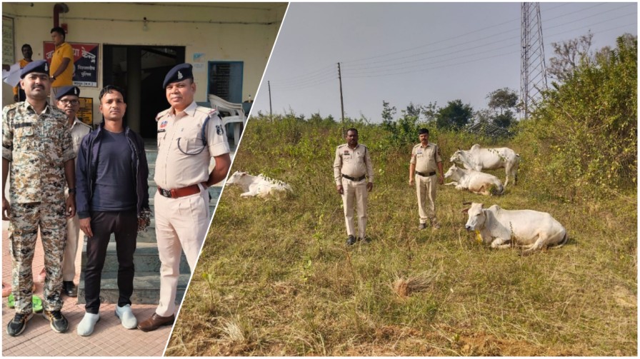 ऑपरेशन “शंखनाद” में जशपुर पुलिस की बड़ी कामयाबी – 10 गौवंश तस्करों के चंगुल से मुक्त, फरार आरोपी झारखंड से गिरफ्तार… ऑपरेशन “शंखनाद” में जशपुर पुलिस की बड़ी कामयाबी – 10 गौवंश तस्करों के चंगुल से मुक्त, फरार आरोपी झारखंड से गिरफ्तार…