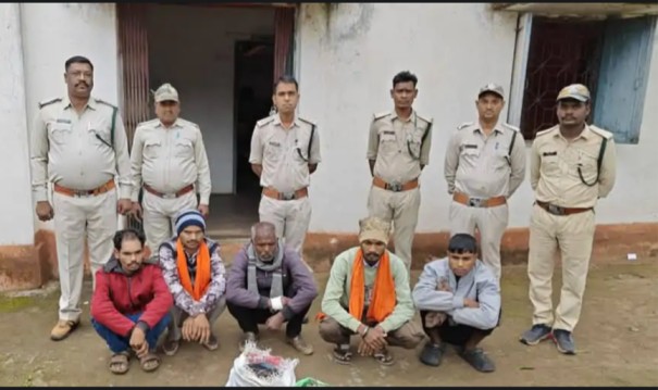 थानगांव के जंगल में करंट बिछाकर जंगली जानवरों का शिकार – वन विभाग की दबिश में 5 शिकारी गिरफ्तार…