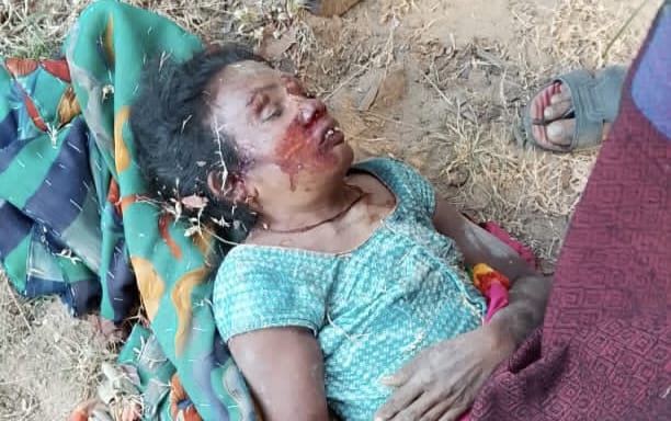 कोरबा : कटघोरा में हाथियों का तांडव, 24 घंटे में दूसरी जान ली…