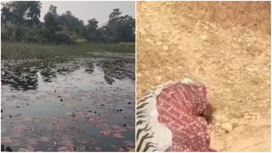 जशपुर: शिकारियों के जाल ने ली दो दोस्तों की जान, 6 दिन बाद डैम से मिले शव…
