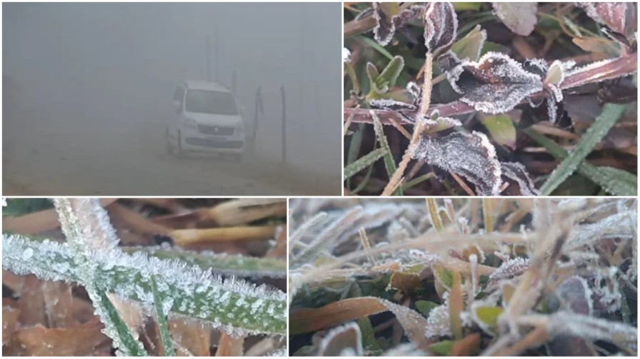 बर्फिस्तान बना सरगुजा : मैनपाट में 1.6°C पारा, जम गई ओस की बूंदें; शीतलहर के ‘टॉर्चर’ से कांप उठा संभाग…