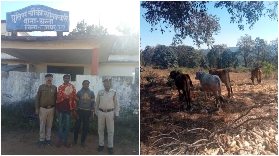 ऑपरेशन शंखनाद : जशपुर पुलिस ने विफल की गौ तस्करी की कोशिश, 5 गौवंश मुक्त, 2 तस्कर गिरफ्तार…