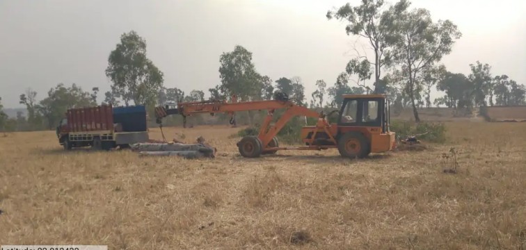 अंबिकापुर : वन माफियाओं के हौसले पस्त, राजस्व भूमि पर ‘सर्जिकल स्ट्राइक’ कर विभाग ने पकड़ी लकड़ी की बड़ी खेप…