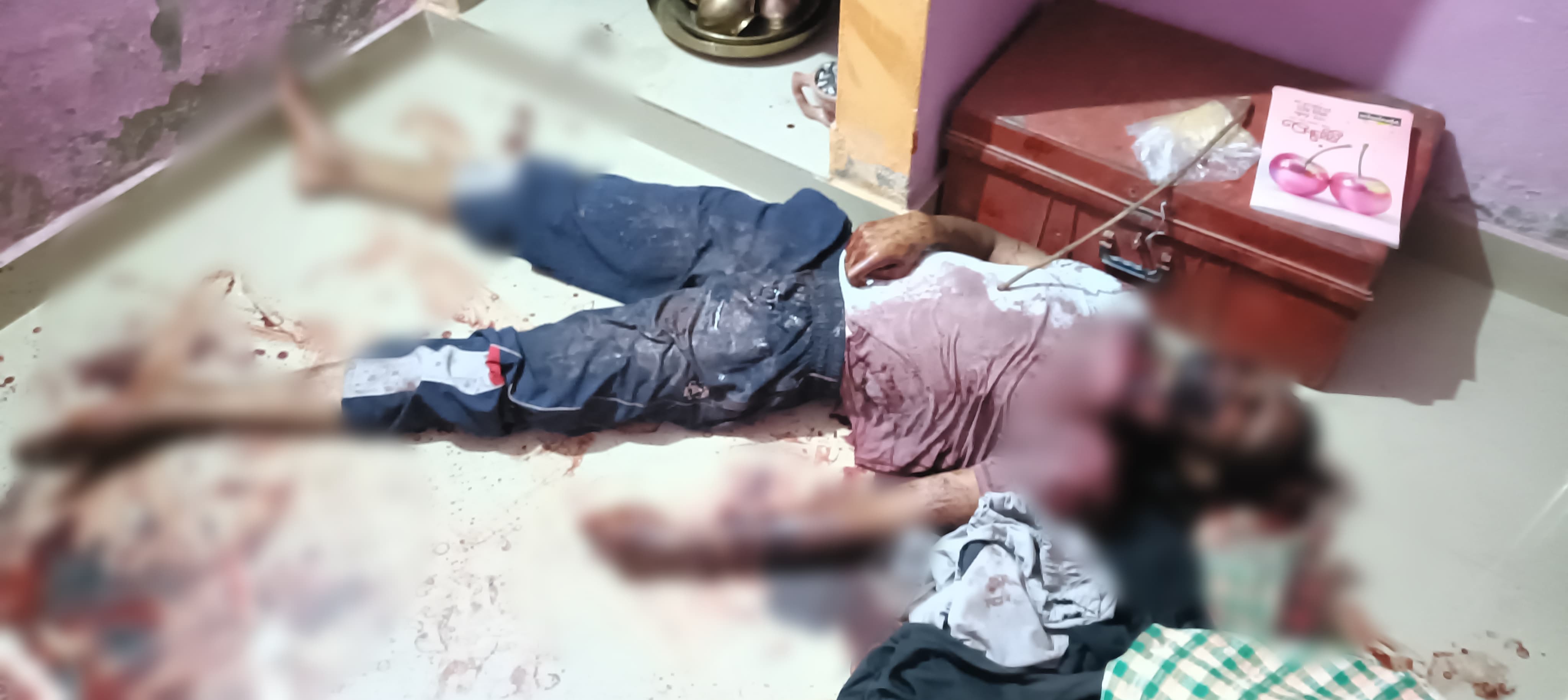 घरघोड़ा में आधी रात खूनी सनसनी : युवक की लाश देख दहल उठा वार्ड-08, हत्या या आत्महत्या के बीच उलझी पुलिस!…