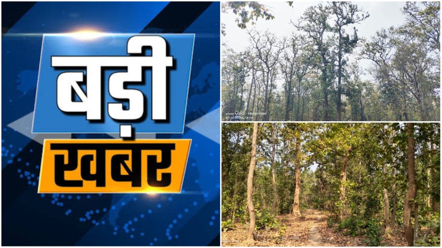 विशेष व्यंग्य : “गरियाबंद में ‘सालों’ का कत्लेआम और विकास का जश्न”…