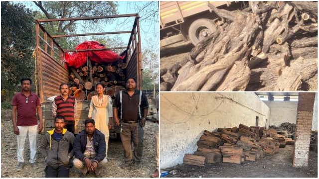 बड़ी कार्रवाई : रायगढ़ वन विभाग ने अंतर्राज्यीय खैर तस्कर गिरोह का किया पर्दाफाश; पंजाब-हरियाणा तक जुड़े हैं तार!…