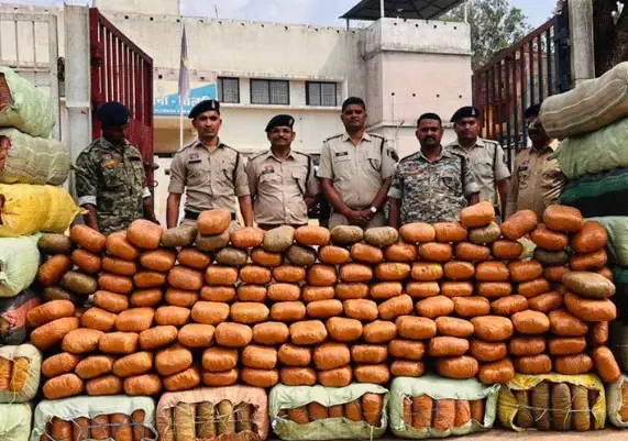 कवर्धा पुलिस की सर्जिकल स्ट्राइक : ओडिशा से राजस्थान जा रहा 5 करोड़ का गांजा जब्त, नागालैंड नंबर के ट्रक में बना था ‘सीक्रेट चैंबर’…