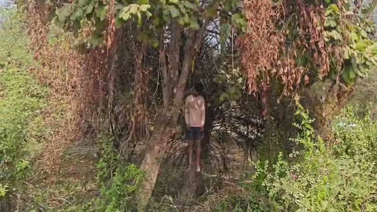 बिलासपुर : तारबाहर में युवक की संदिग्ध मौत से सनसनी, फंदे पर लटका मिला शव; शिनाख्त की कोशिश जारी…