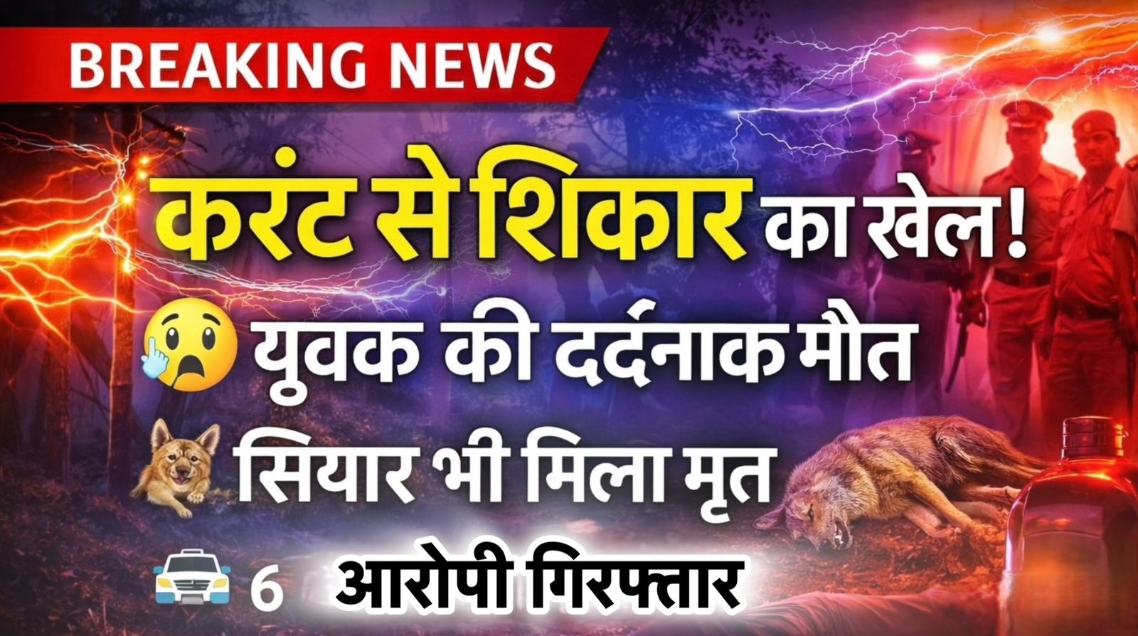 मैनेपाट के जंगलों में ‘करंट का कत्लखाना’ : शिकारियों ने बिछाया था 11,000 वोल्ट का डेथ-ट्रैप, ग्रामीण की दर्दनाक मौत!…