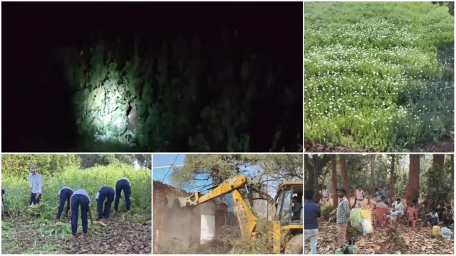 विशेष रिपोर्ट : छत्तीसगढ़ में ‘सफेदपोश’ अफीम का काला साम्राज्य; दुर्ग के बाद अब बलरामपुर बना नार्को-हब…